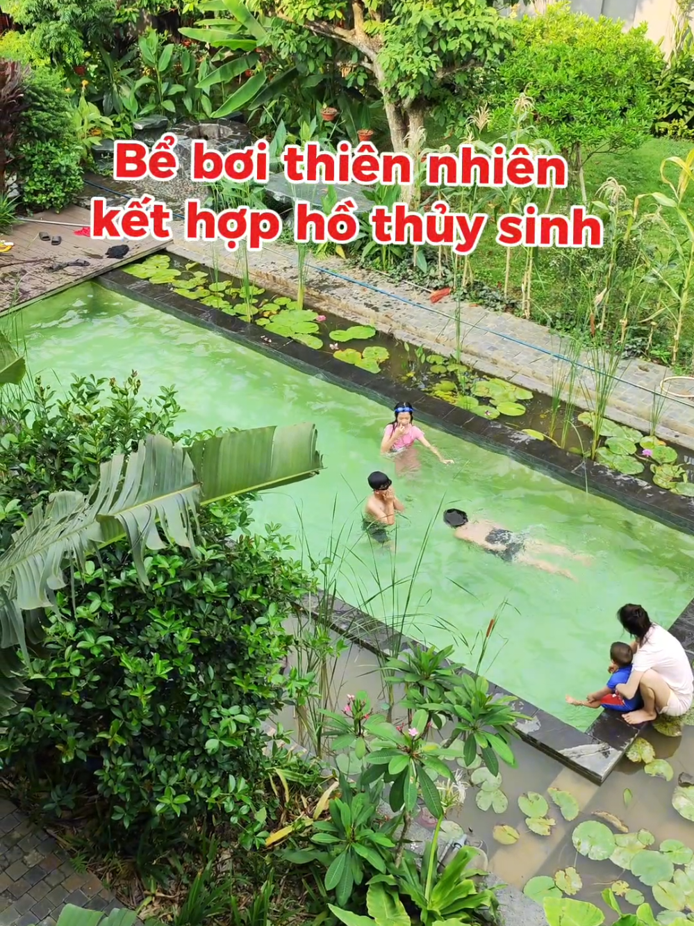 @Dược sĩ cỏ