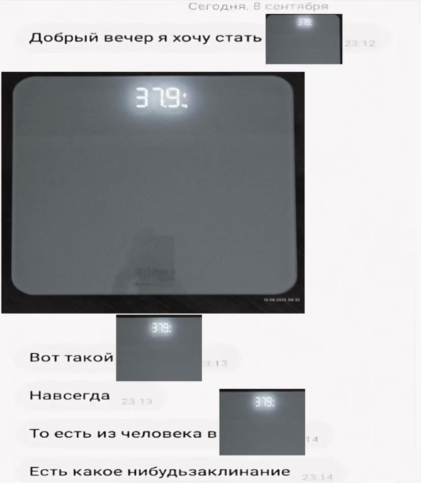 @₍^. .^₎⟆