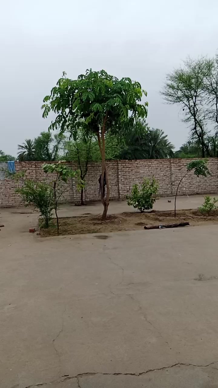 @Ahsan bazigar