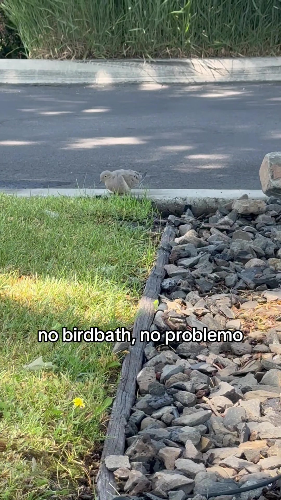 @Jesus Delaputa