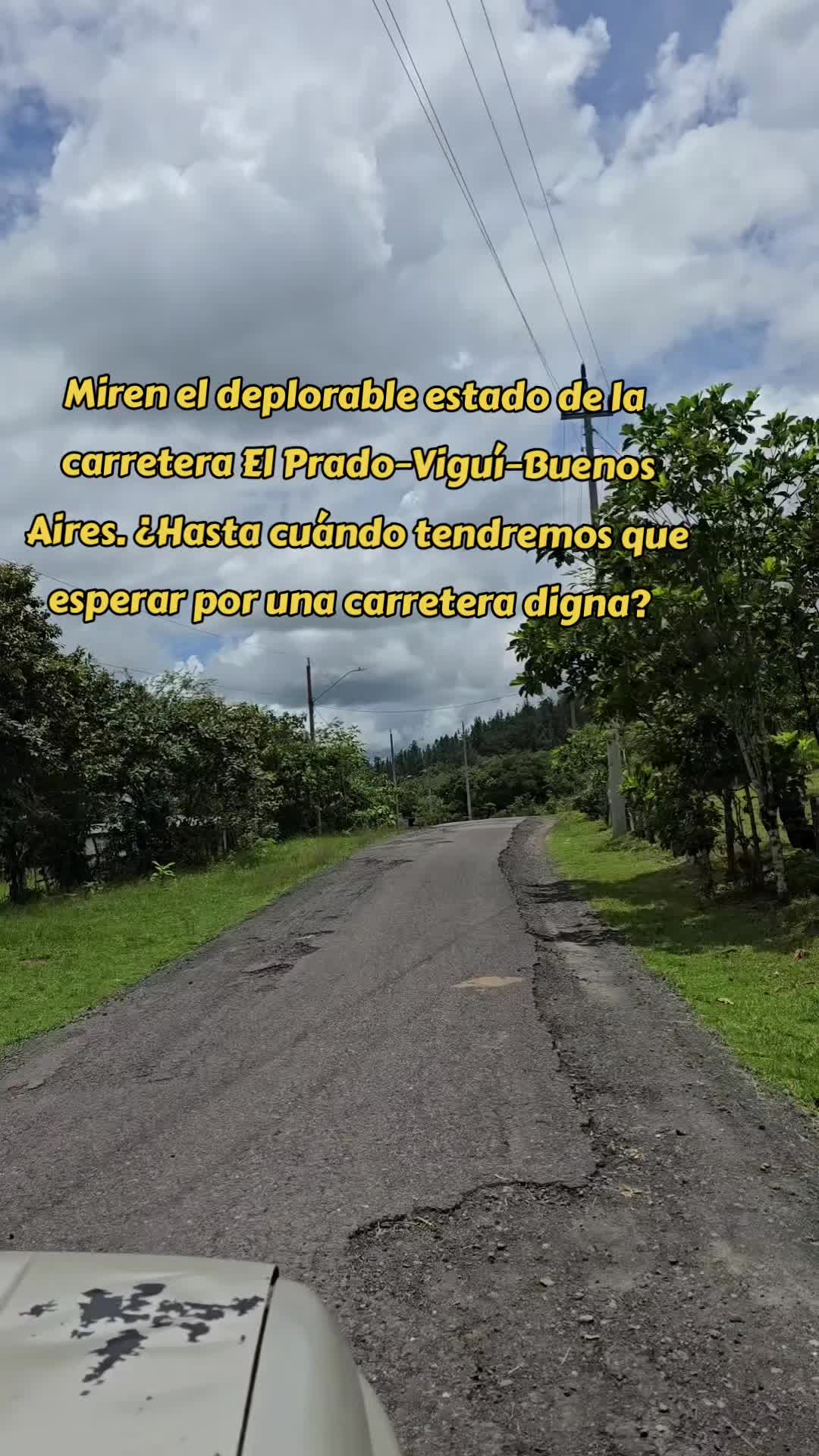 @Profe Gloria Camaño