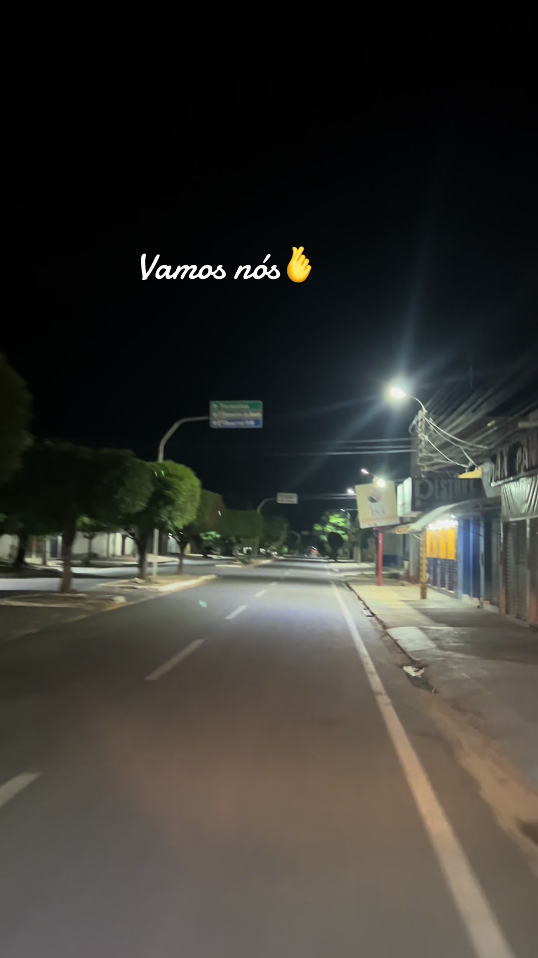 @socorroalves719