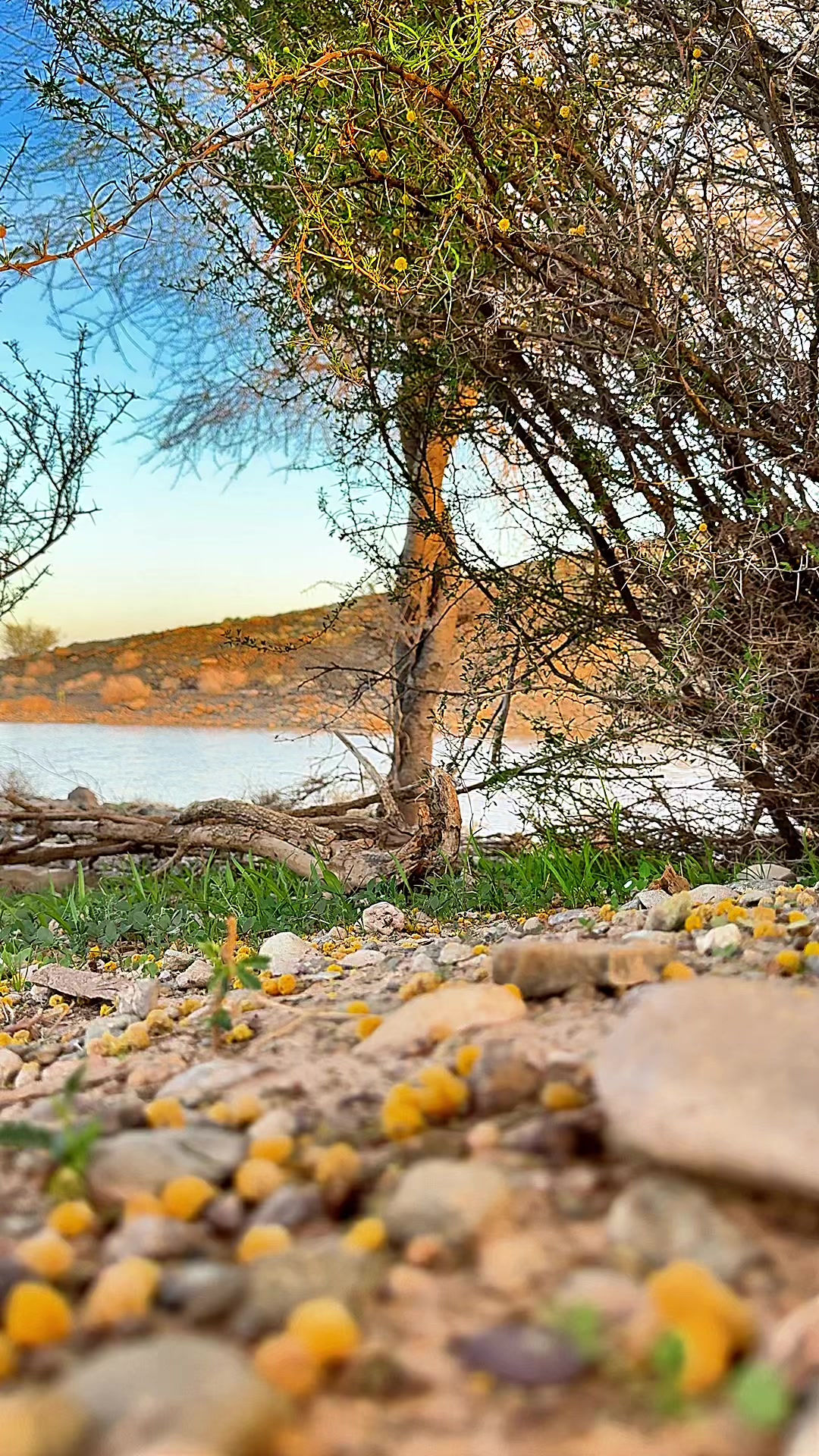@رِجْم 📸