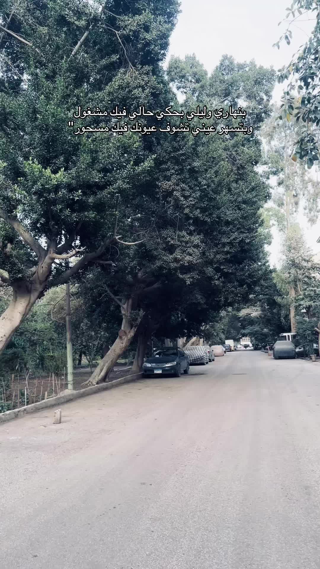 @Sulimani | سُليماني
