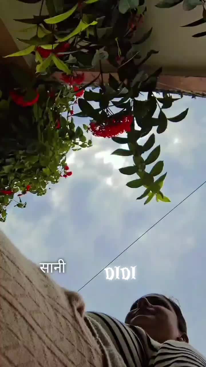 @sumitrachaudhary530