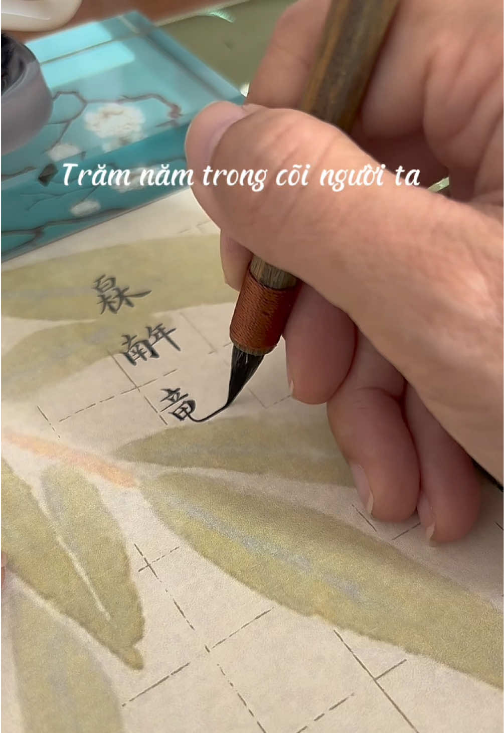 @🌷Mộc Mộc🌱木木丽红