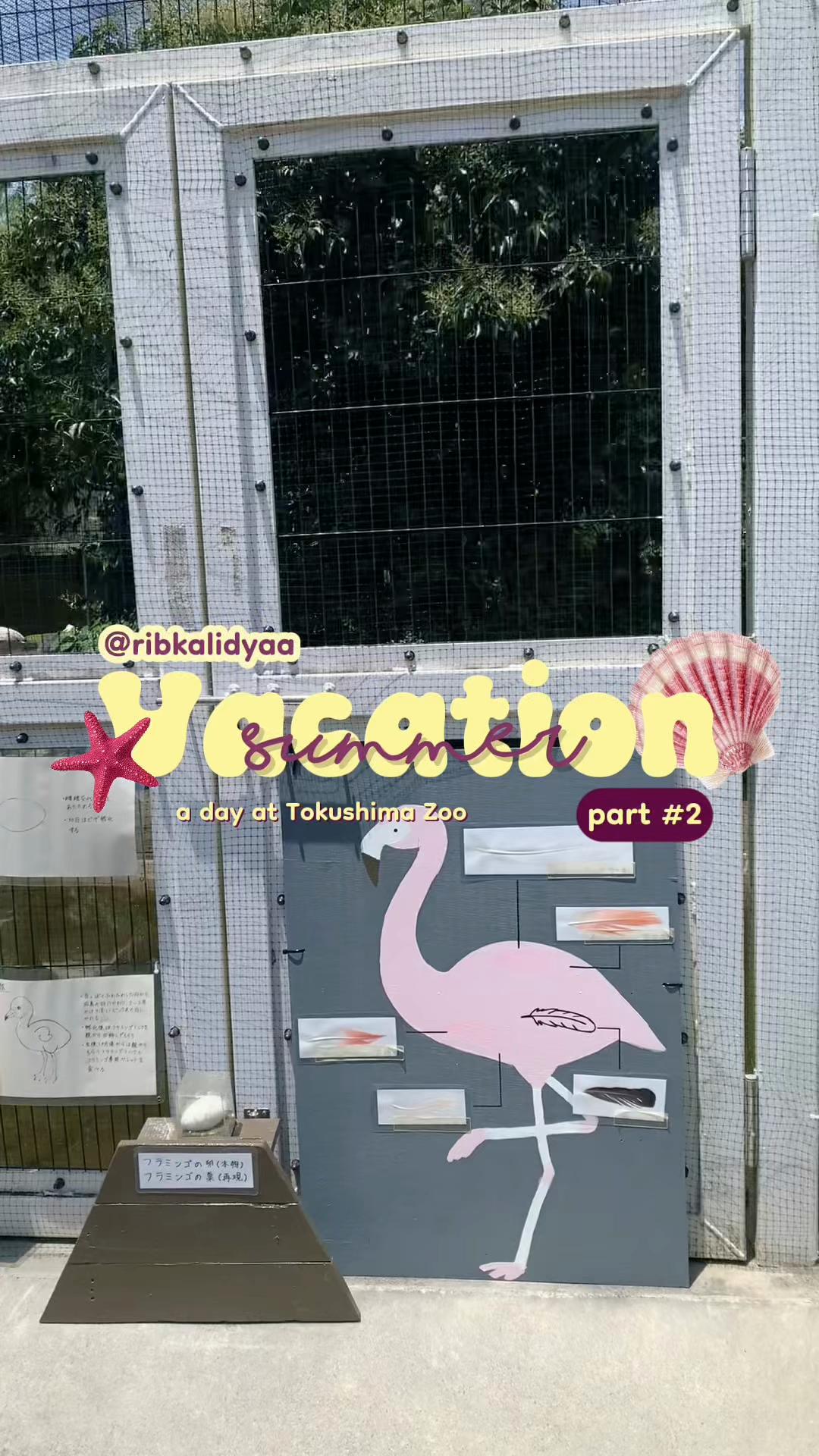 @ikah 🦁