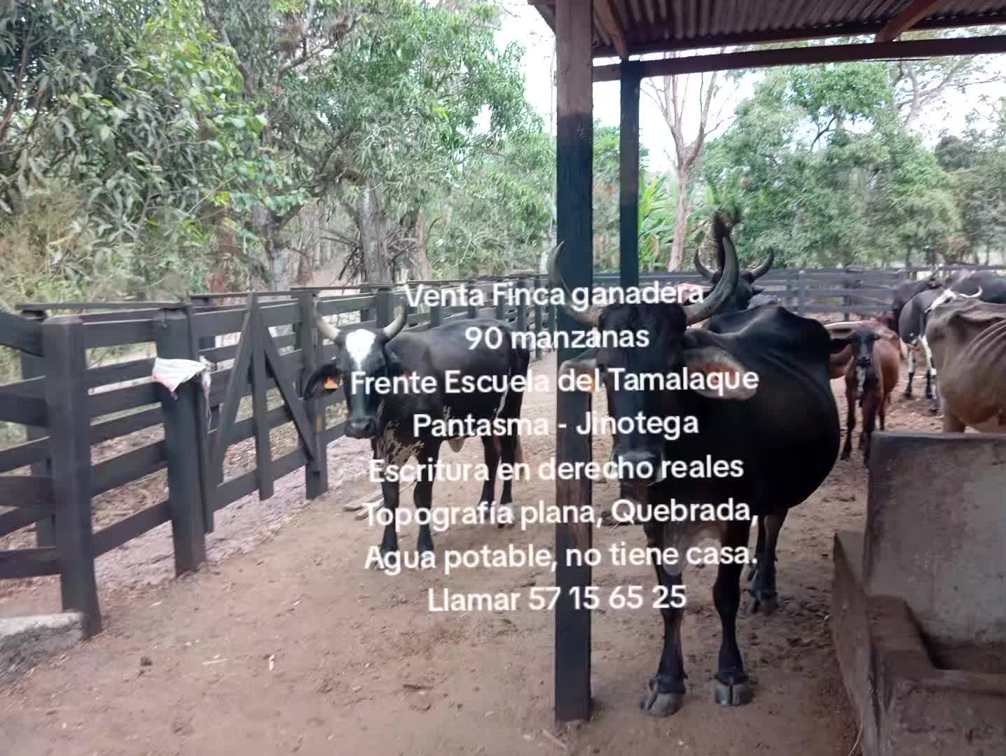@Luis Manuel Rivera