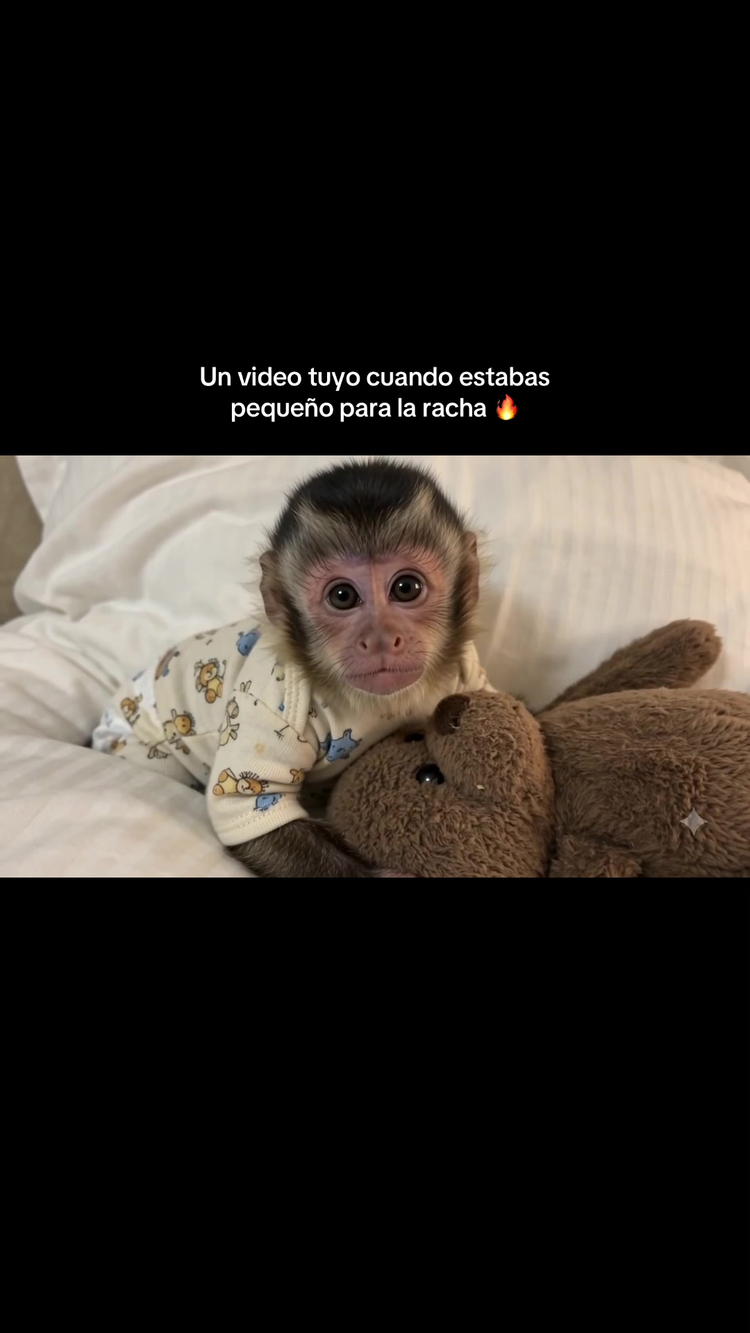 @RabPesito 🔥