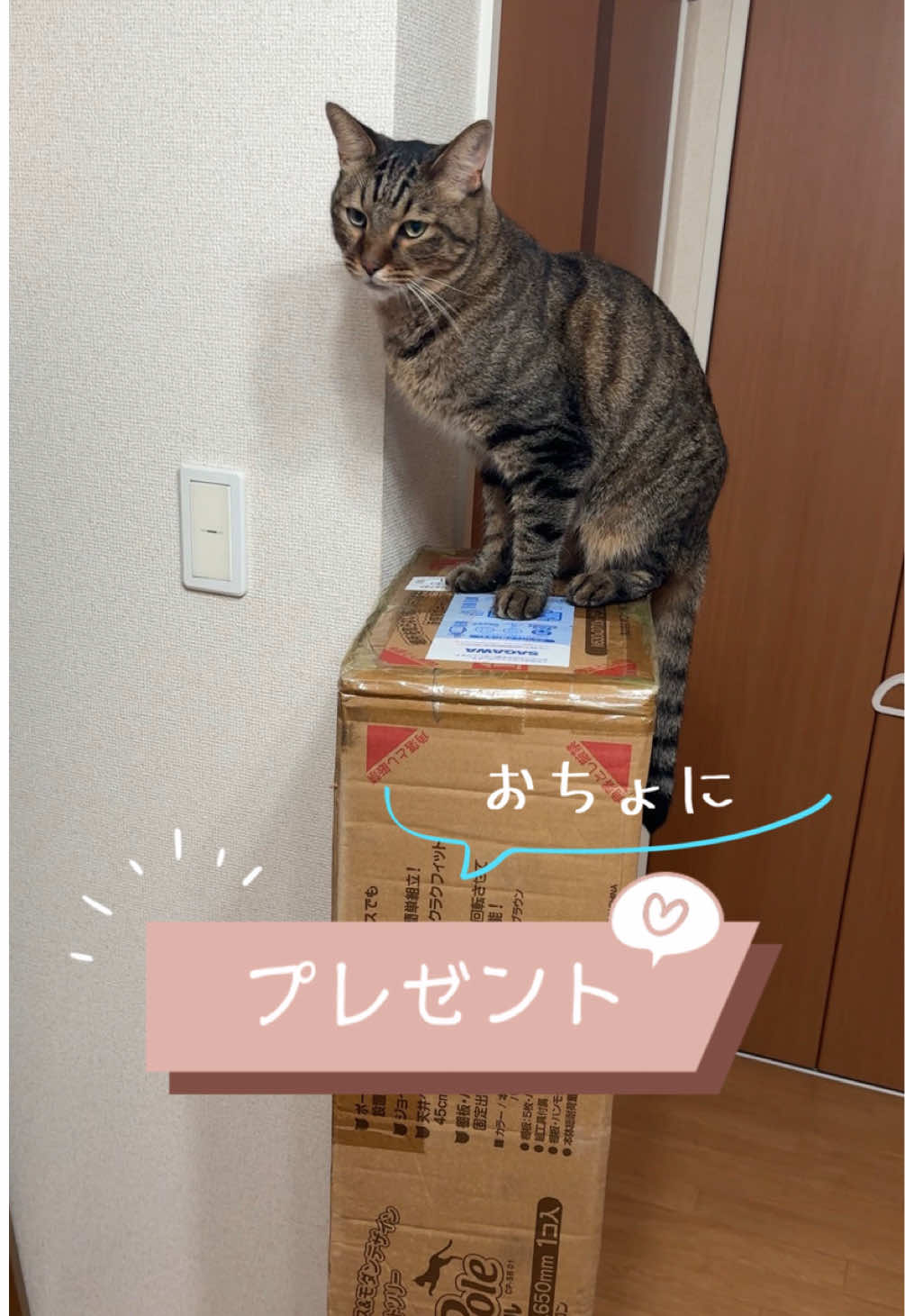 @さっことおちょ
