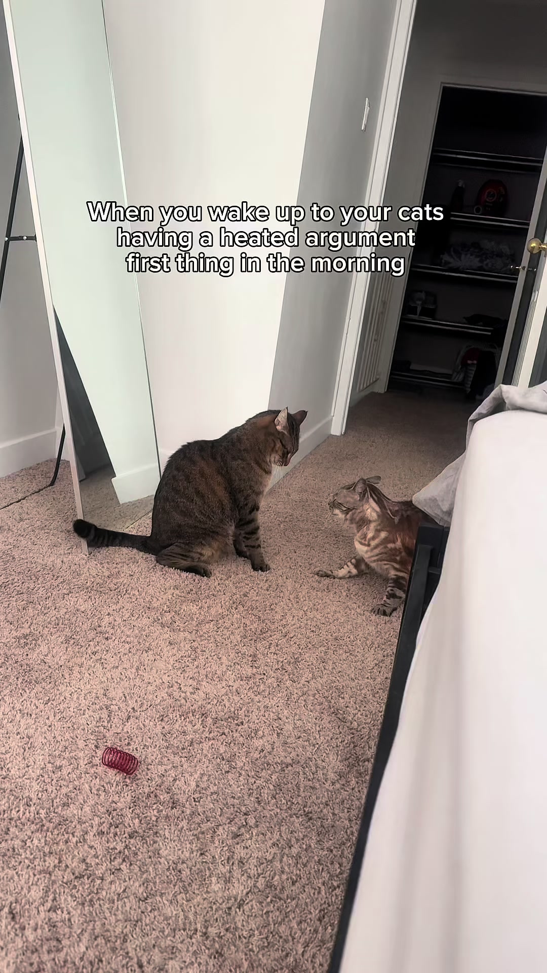 @Three Nawty Cats