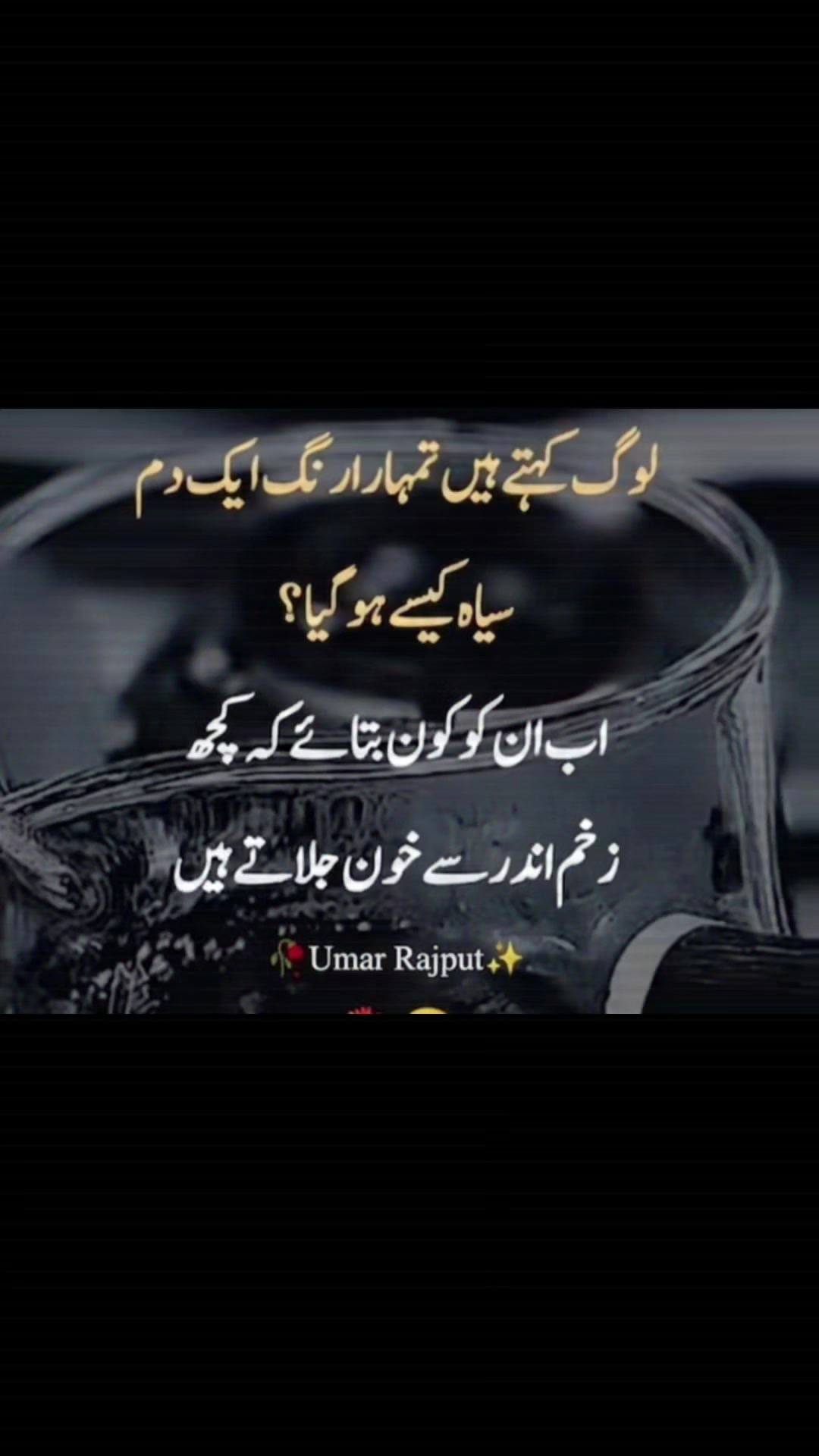 @umarrajput1391