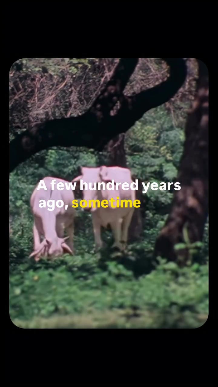 @पशुपतिनाथ
