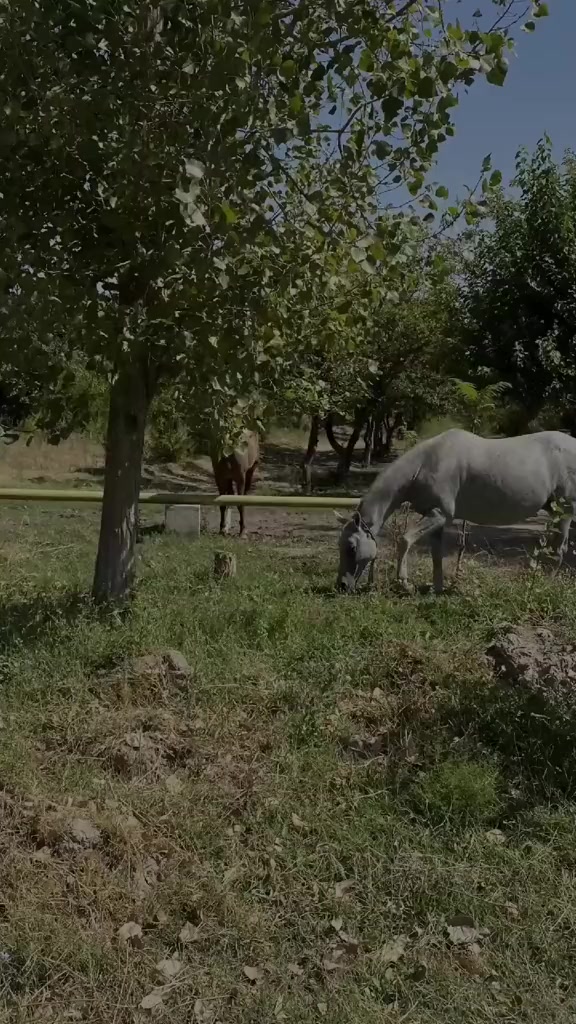 @𝗲𝘅𝗰𝗹𝘂𝘀𝗶𝘃𝗲_𝘁𝗺