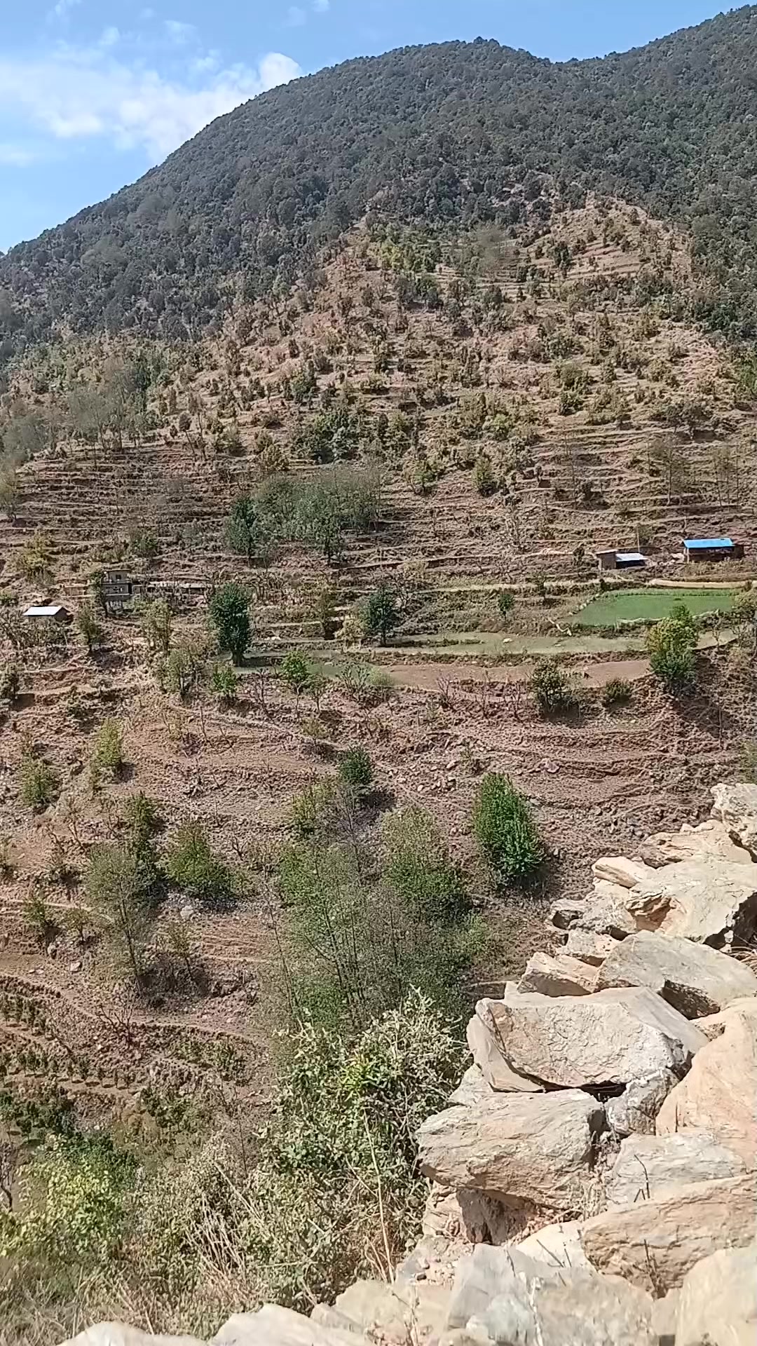 @Deb❣️ Shambhu