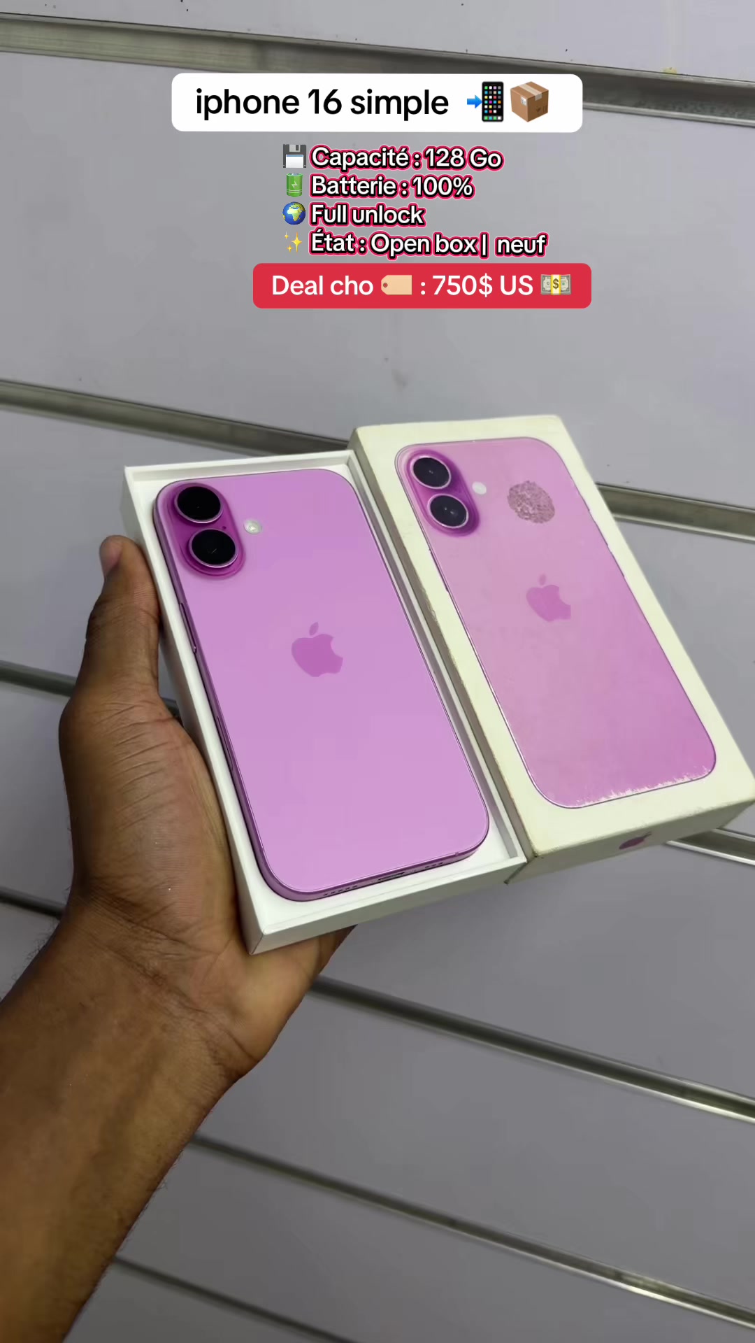 @Tbapple_haiti