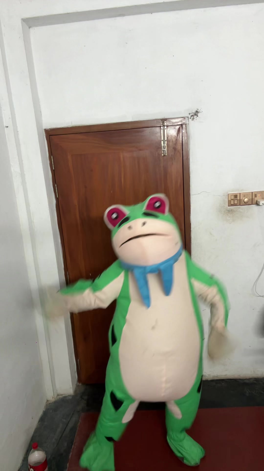 @FROG Top 1 BD