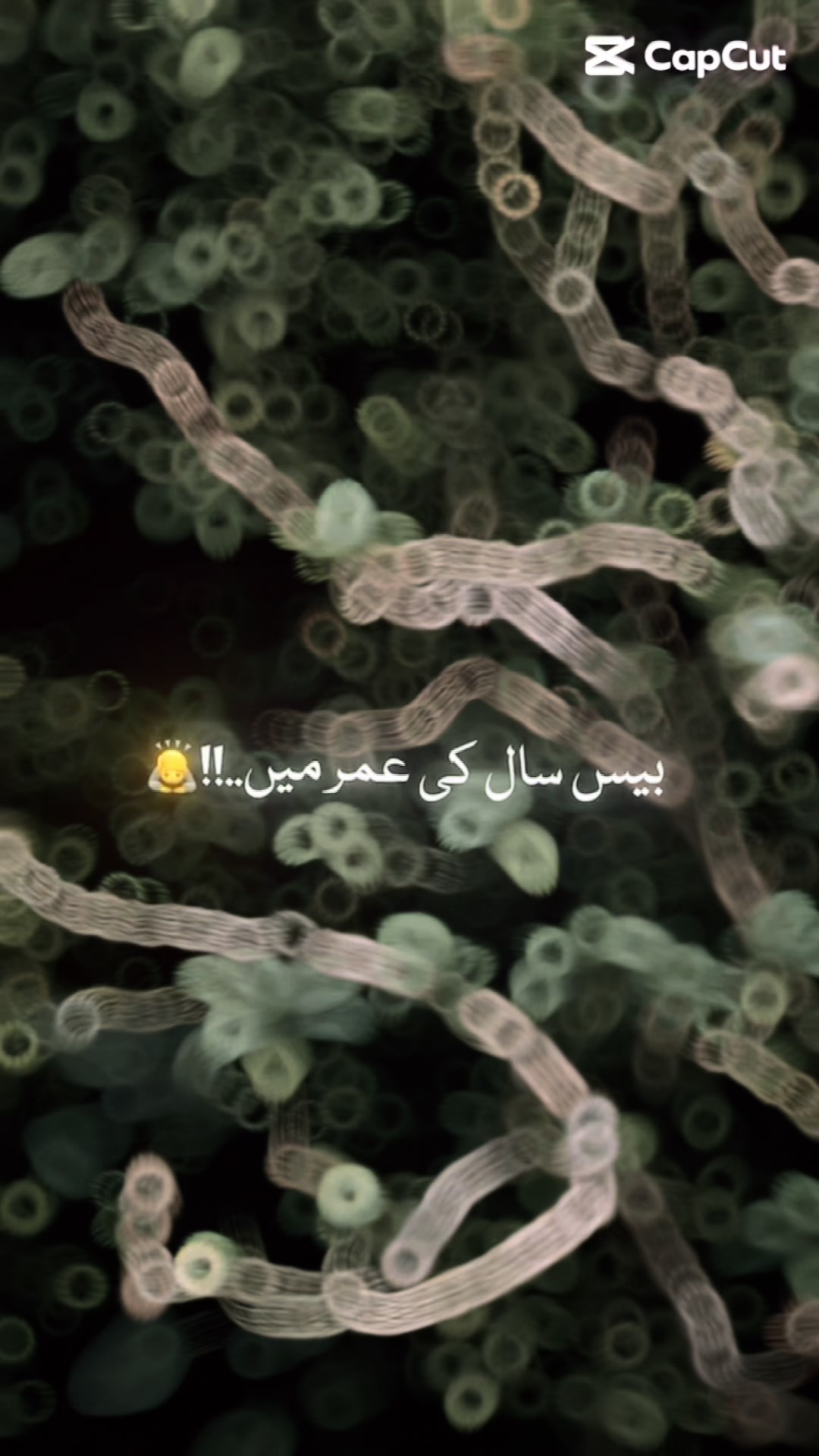 @drgurbaz8