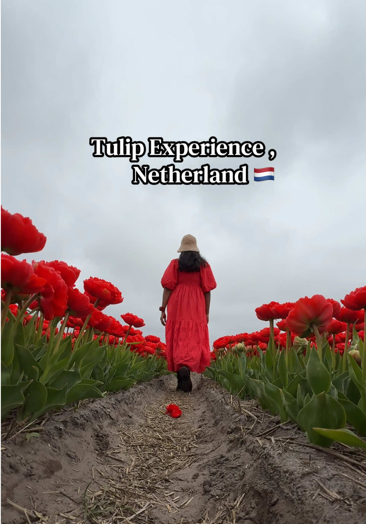 @Travel With Sudu in🇩🇪Germany