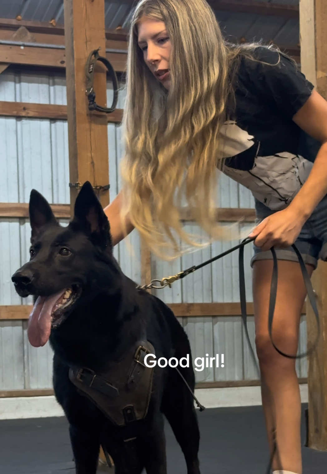 @True Guard K9 I Tara