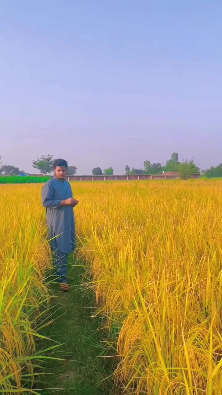 @Salman Ranjha