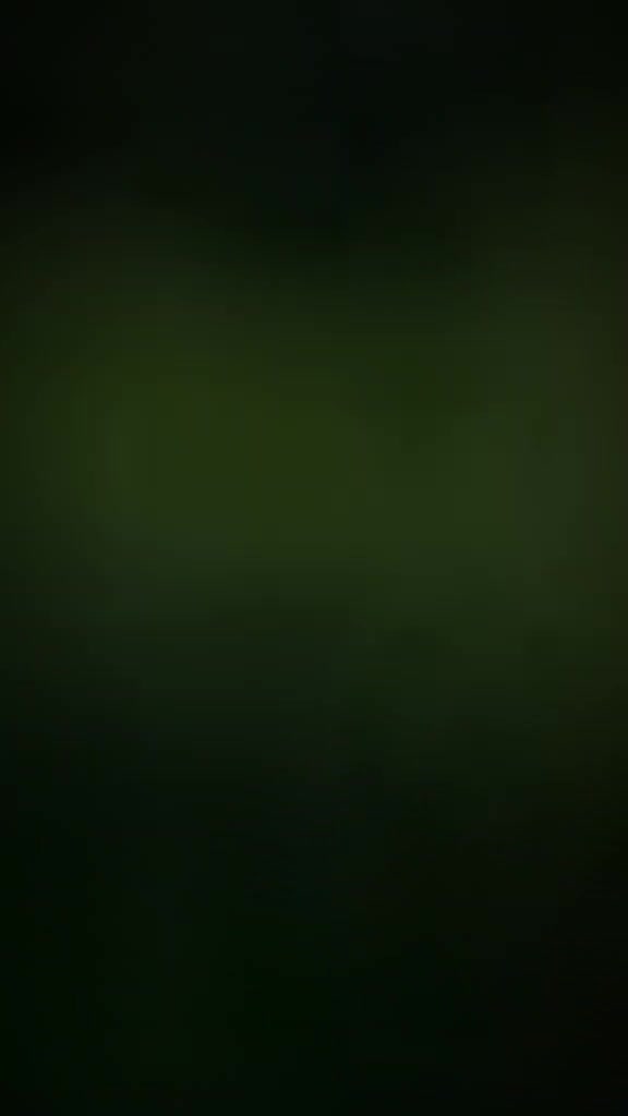 @raisa 534