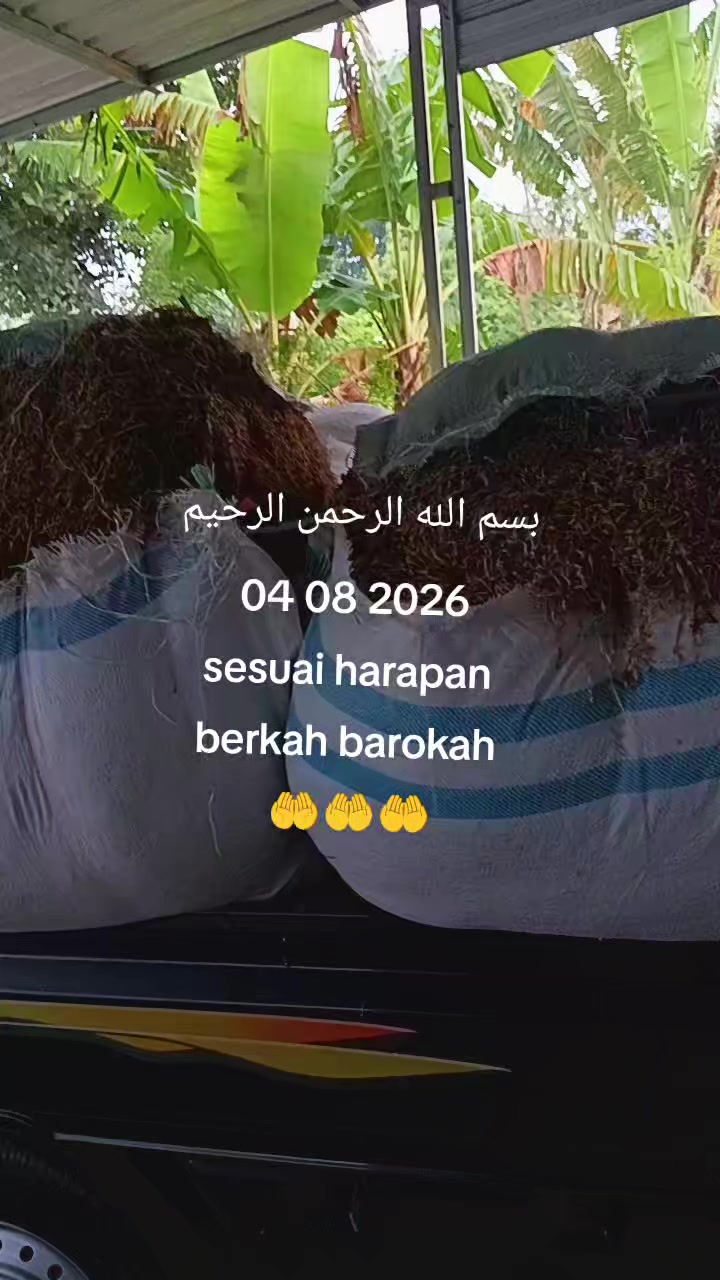 @Farfel