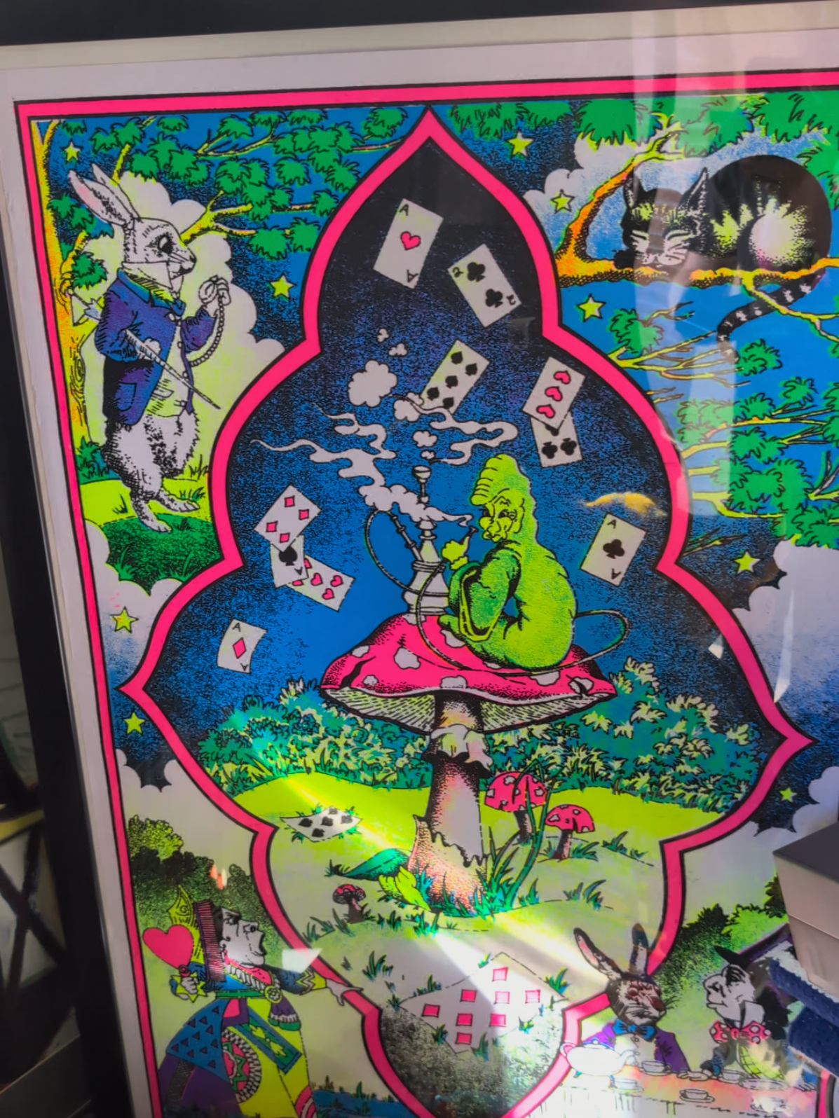 @Owen's Oddities 🇨🇦