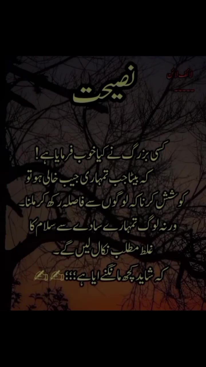 @khadija shafiq