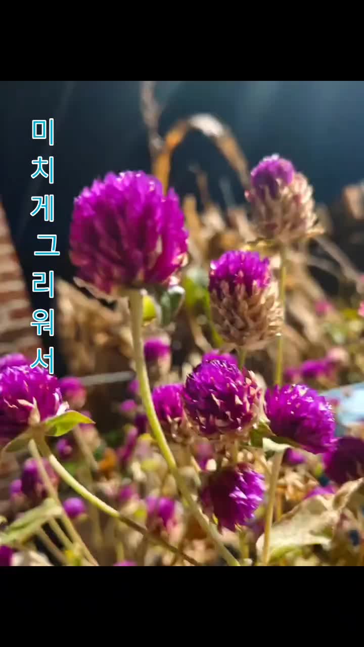 @순순