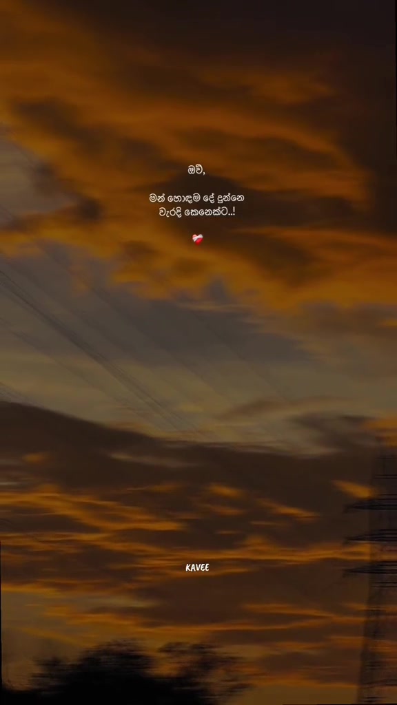 @𝑲 𝑨 𝑽 𝑬 𝑬 🪼