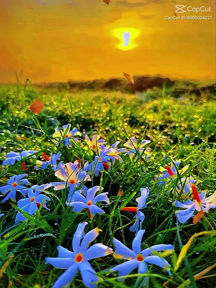 @URME...RR..5697