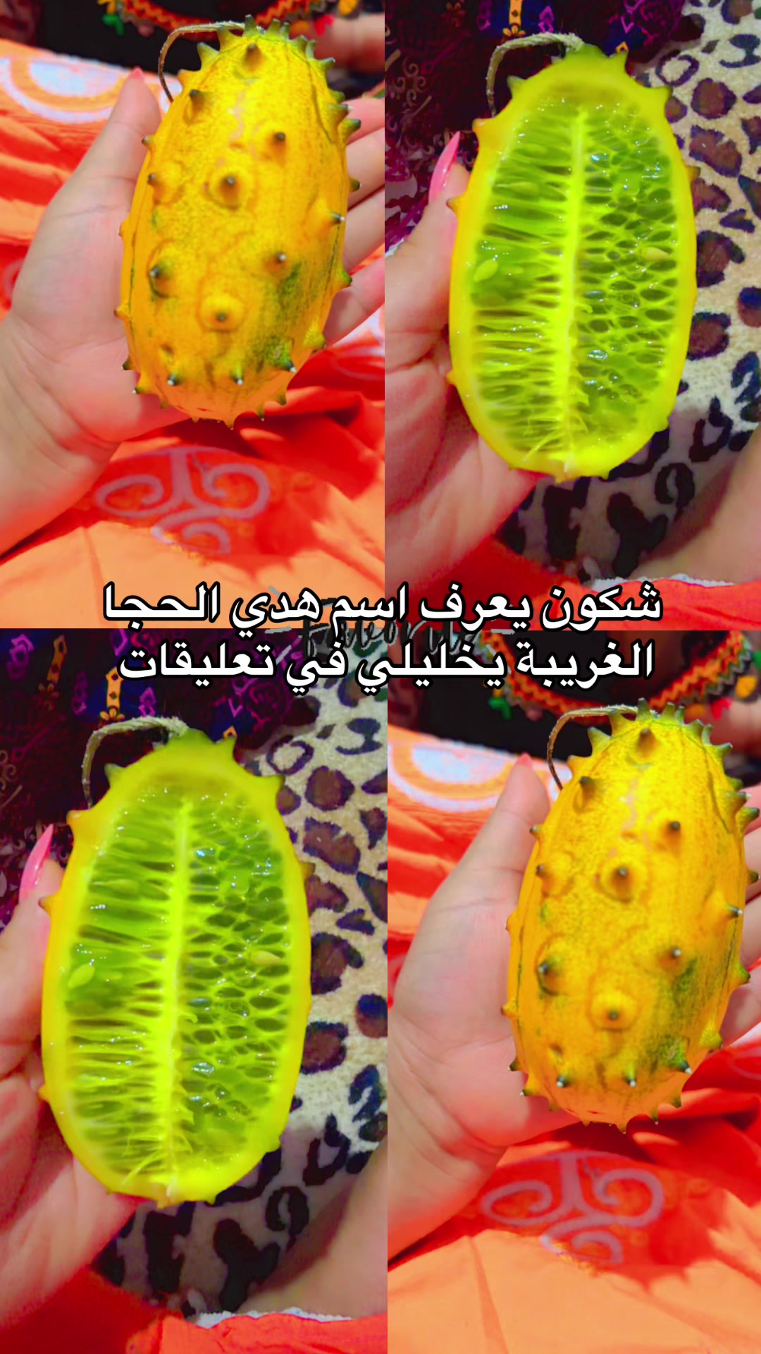 @๐No๐น ssa๐