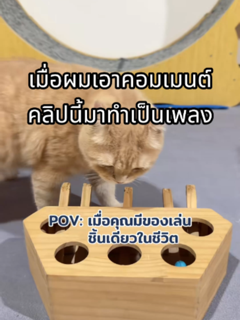 @ผักกาดดด