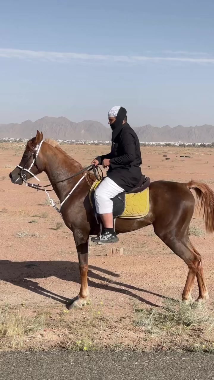@ثاني الشمري 🎠