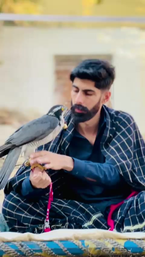 @(अवैस)راجہ اویس 🔥