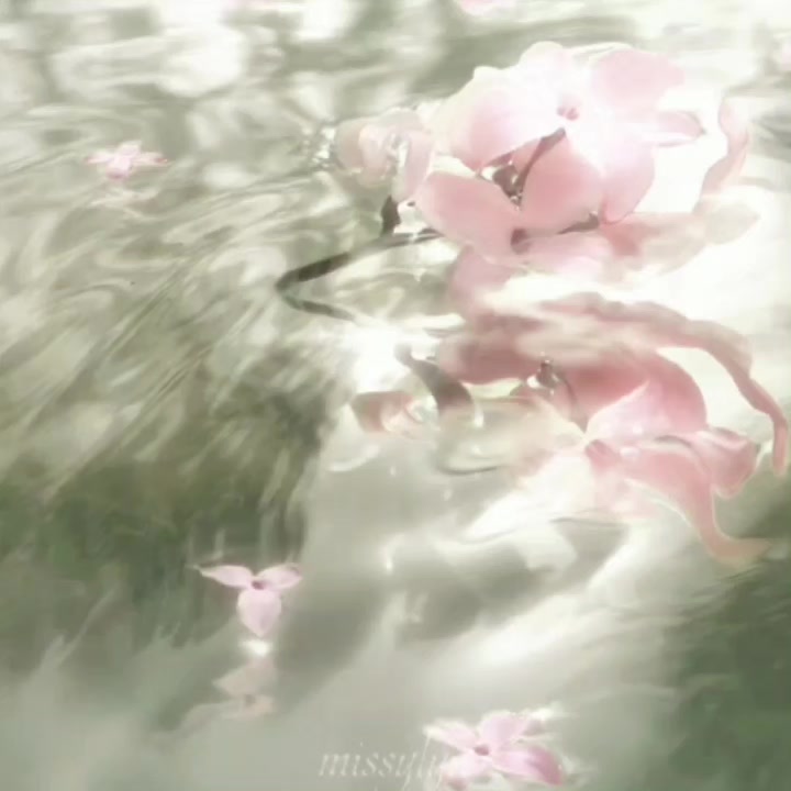 @ᴍɪssʏ⸆⸉