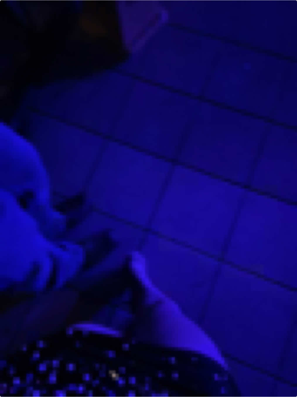@๐ธ๐น๐๐๐ถ๐พ๐ ๐๐๐๐ถ๐๐๐