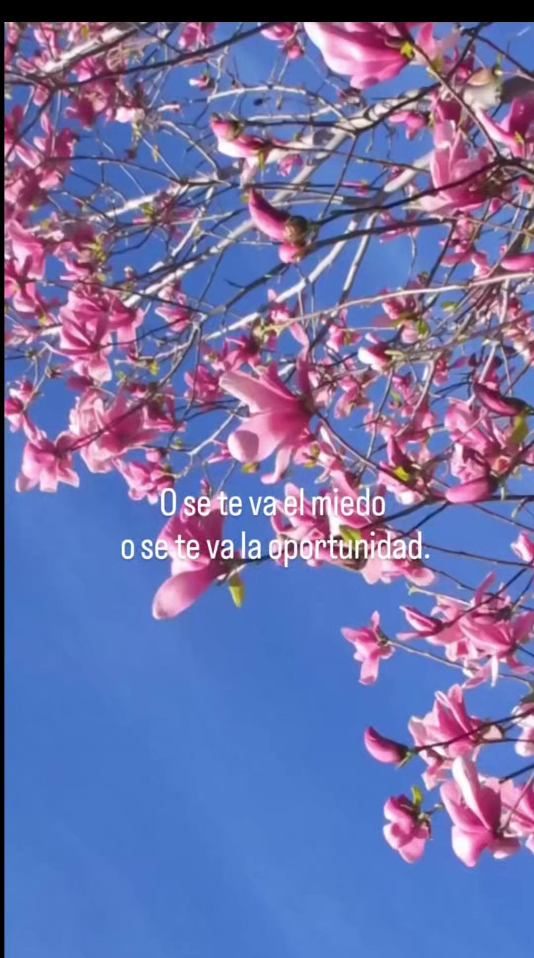@Psicológa Rebeca Pérez 💖