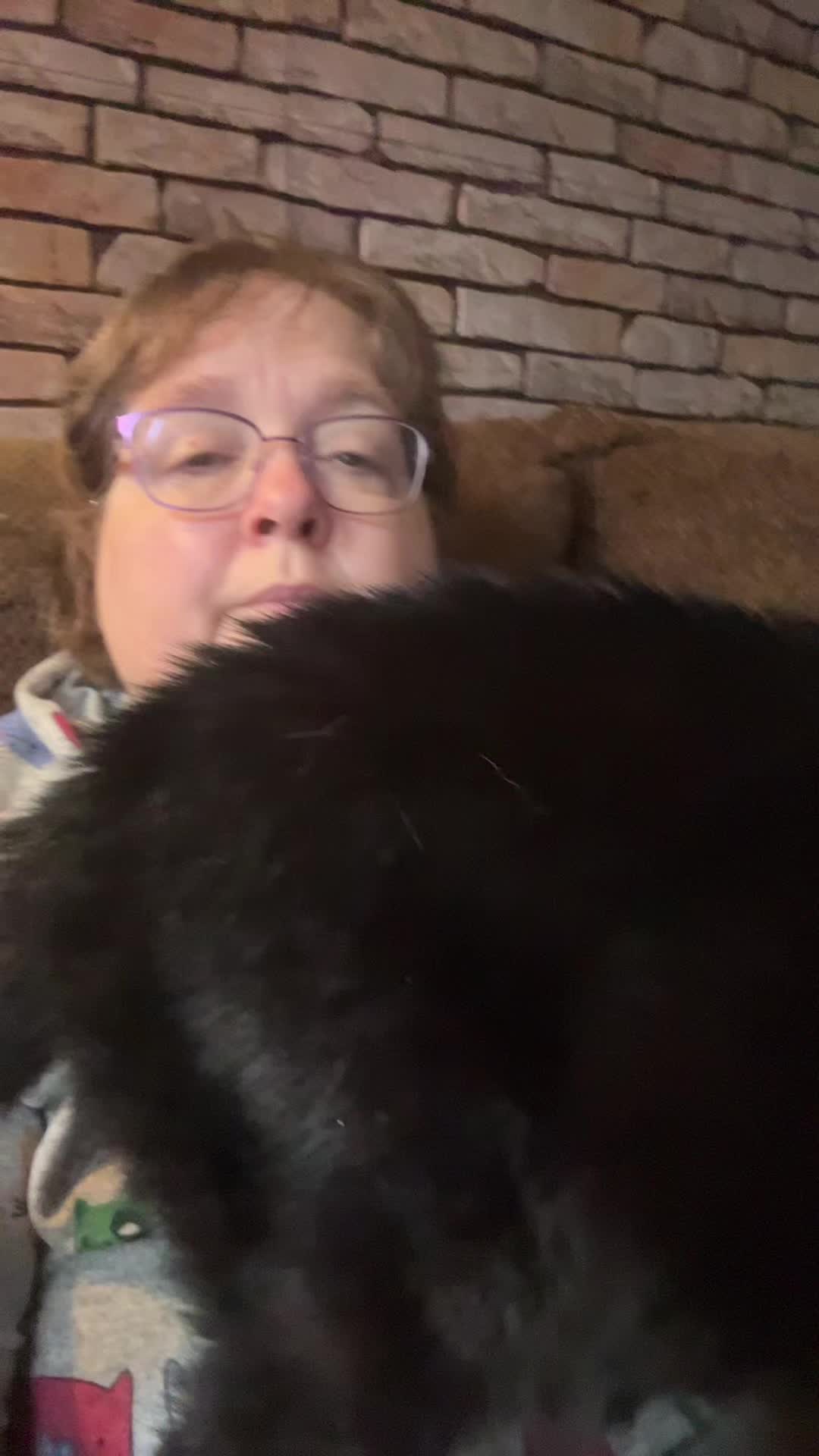 @steenercatmom