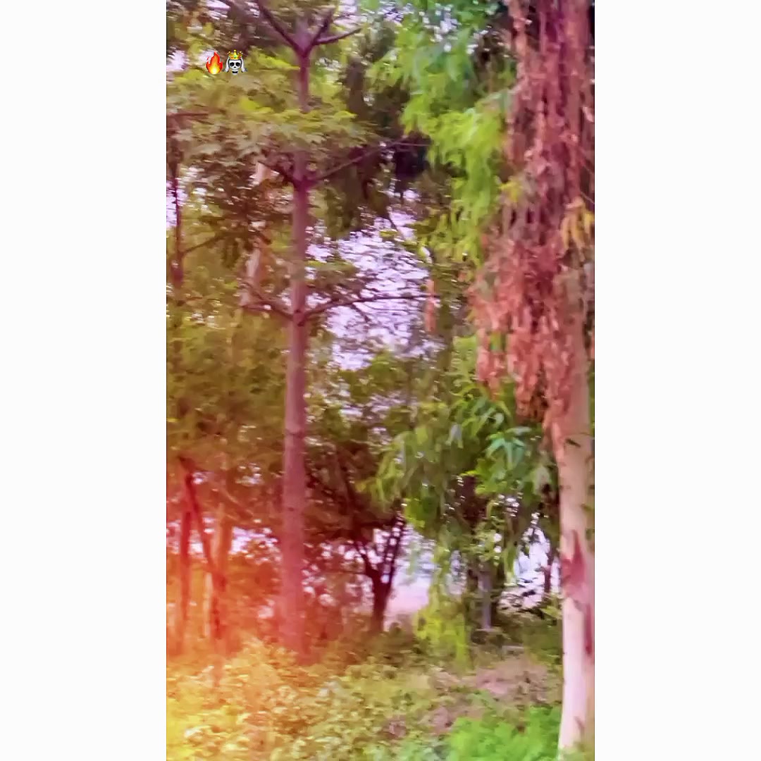 @꧁🚩𝓜𝓻𝓐𝔃𝓪𝓷🥂꧂