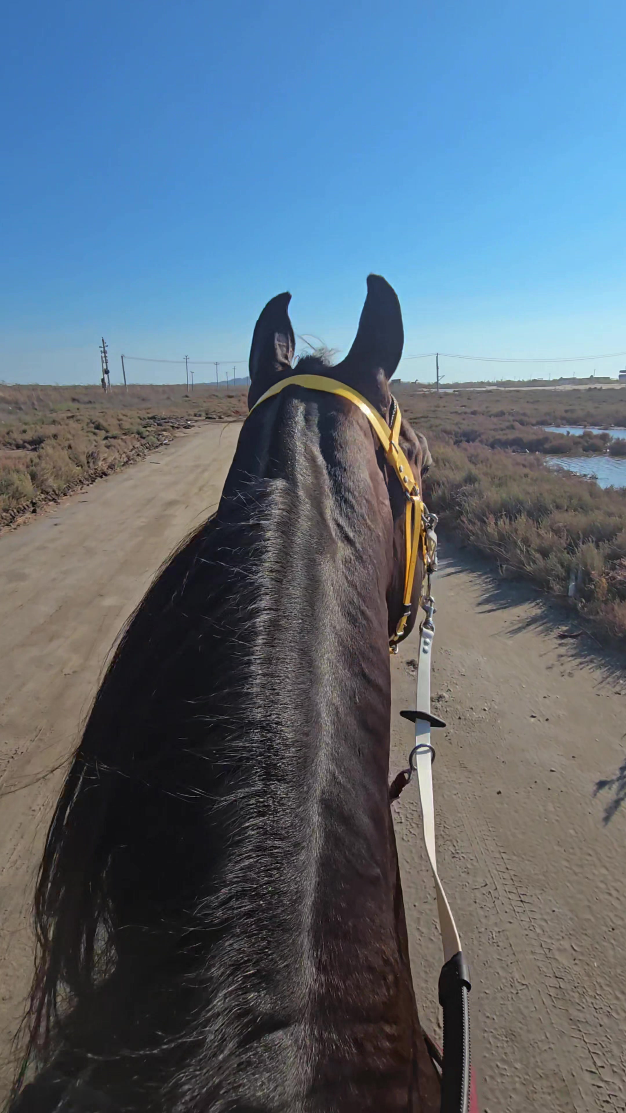 @Horse Training Center Albania