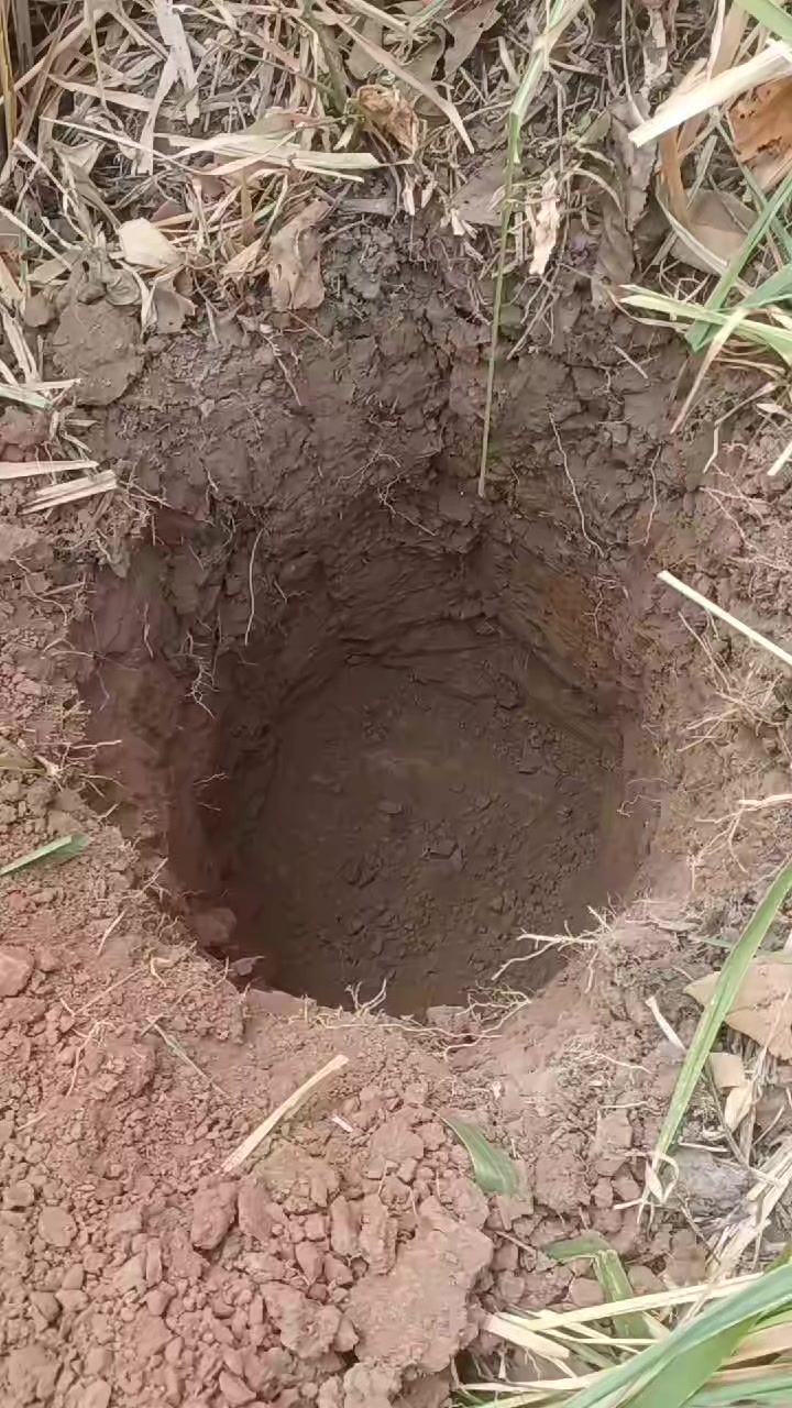 @Fernando Pineda