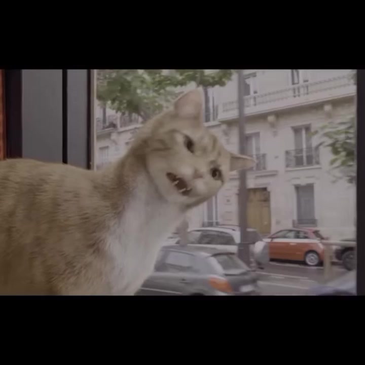 @𝑒𝑙𝑠𝑖𝑒𝑣𝑠𝑘𝑎𝑦𝑎.ꕥ