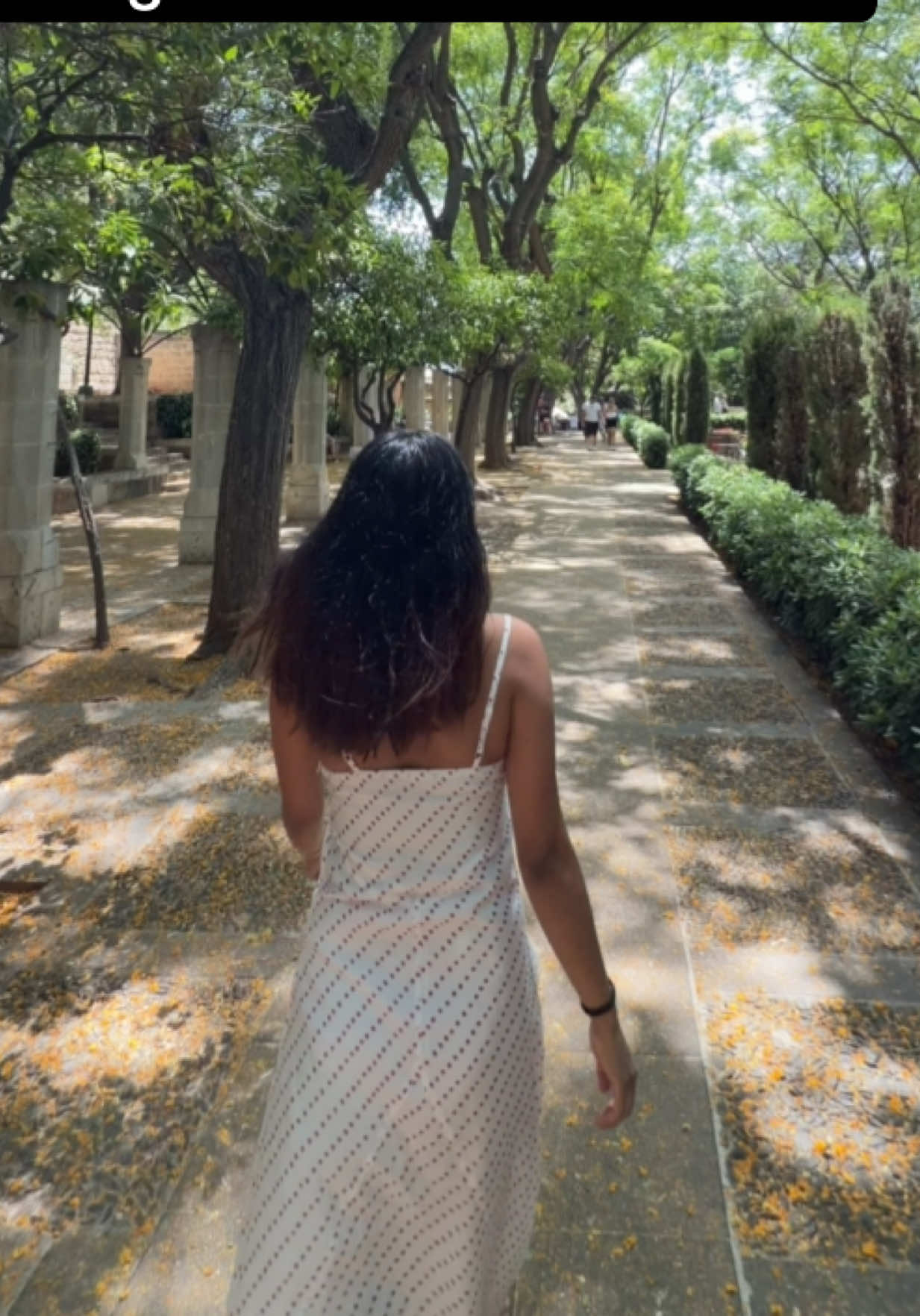 @Sanjeeta🌸
