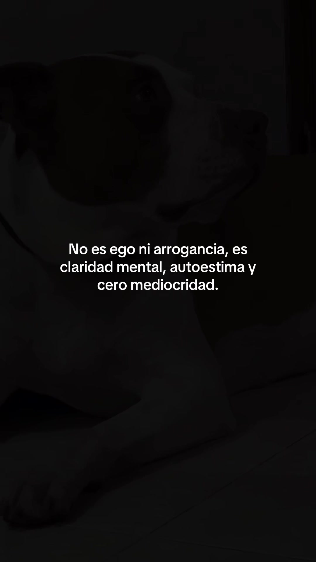 @The Samu