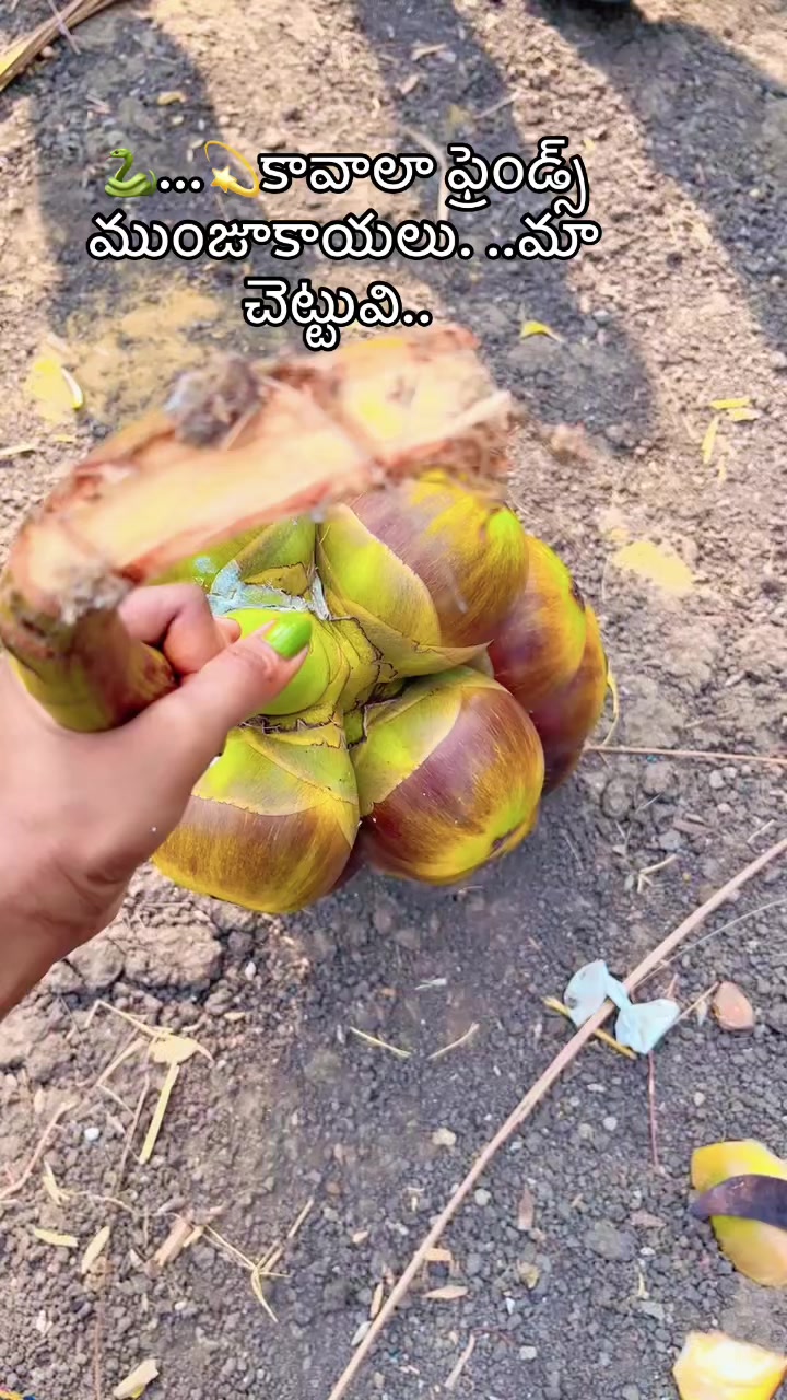 @🐍It's- Me_Snake -Brain_🐍
