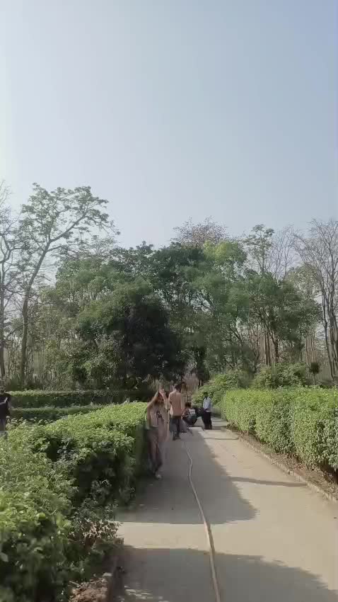 @Priya Tikhatri