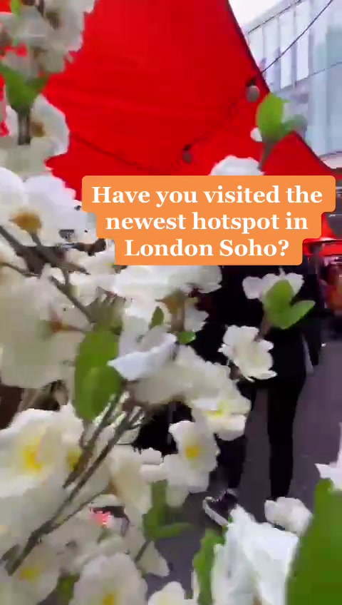 @orangeyardsoho