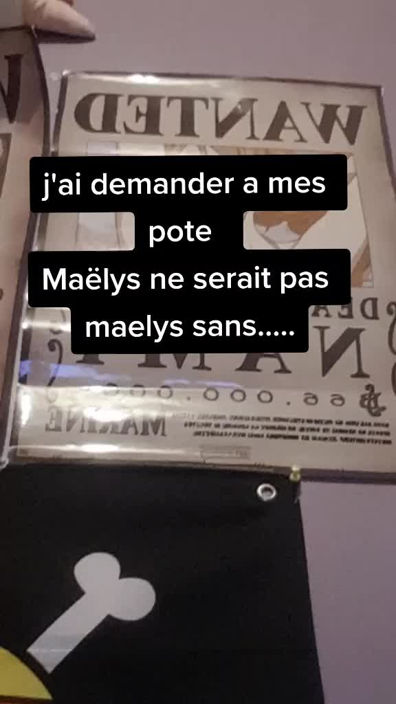 @maelys_et_todoroki